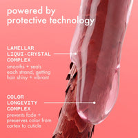 The Protector Color Protect + Strengthen Conditioner