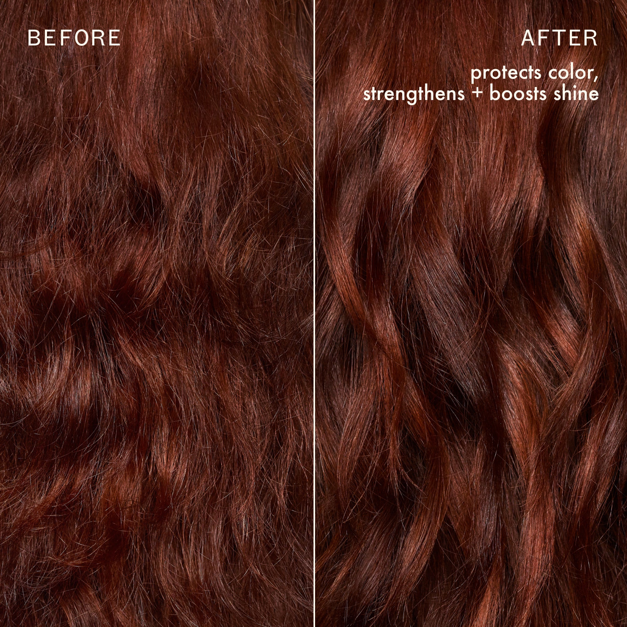 The Protector Color Protect + Strengthen Shampoo
