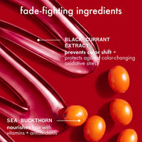 The Protector Color Protect + Strengthen Conditioner