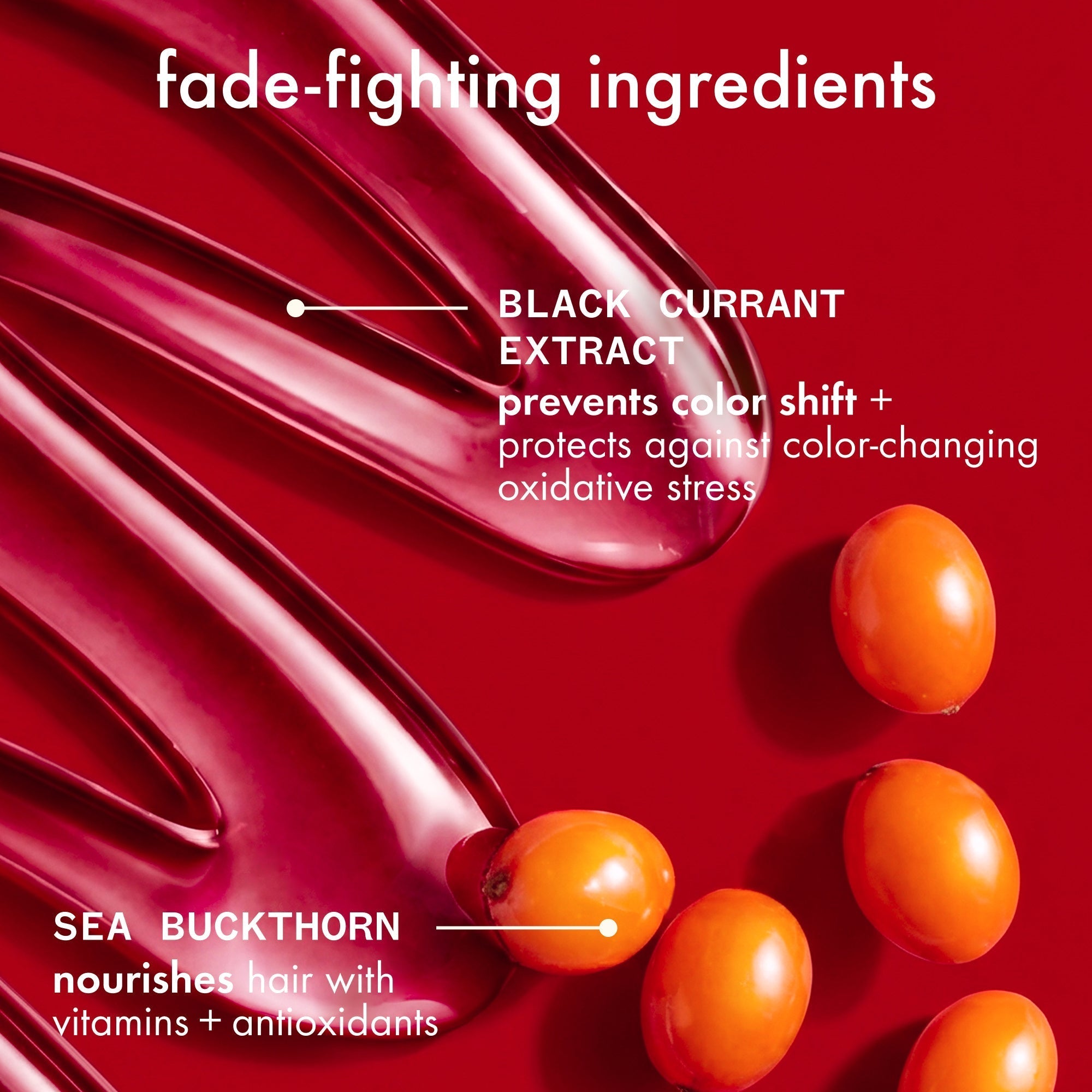 The Protector Color Protect + Strengthen Conditioner