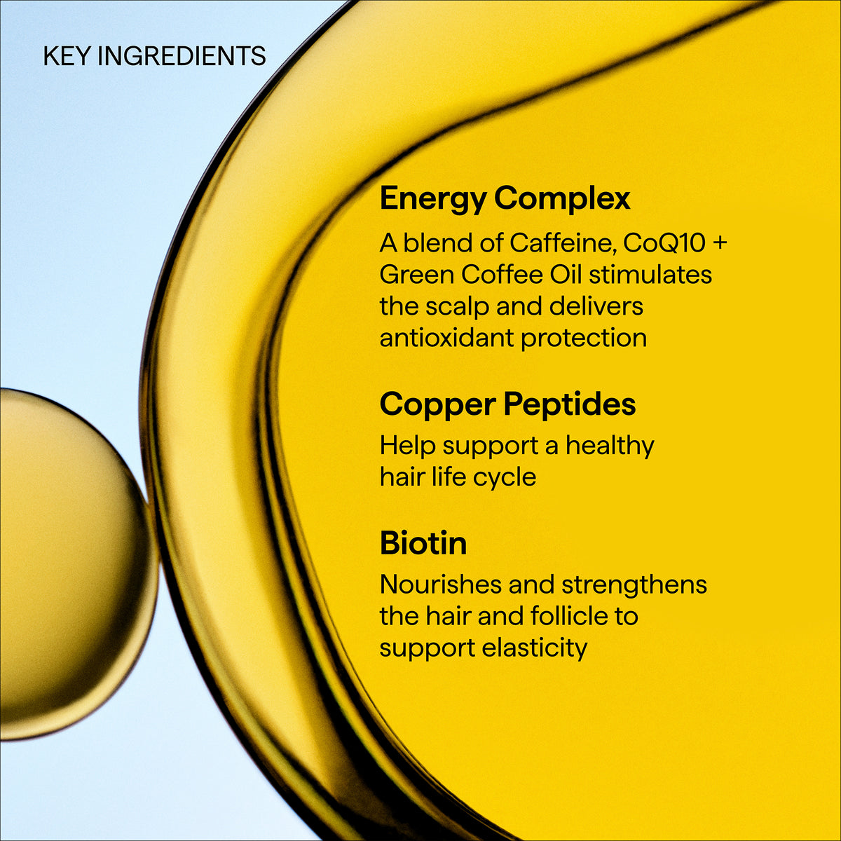 Shampooing Densifiant + Caféine + Biotine Peptides "Destined For Density"