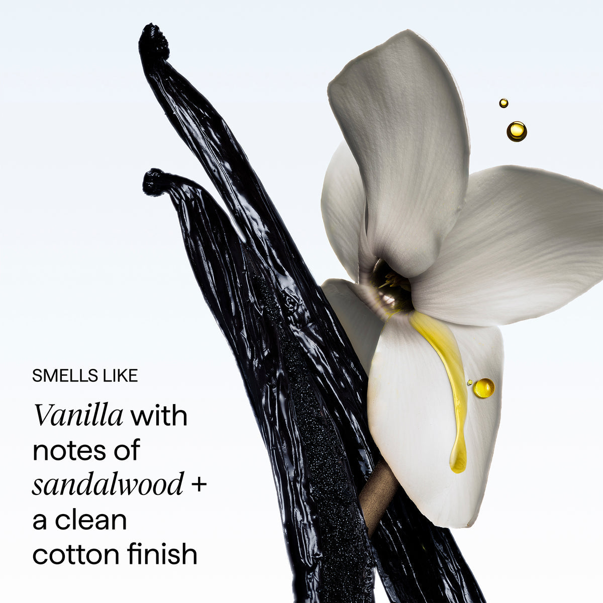 Shampooing Densifiant + Caféine + Biotine Peptides "Destined For Density"