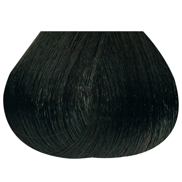 Permanent Color 4N
