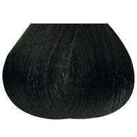 Permanent Color 4N