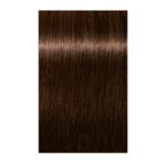 Igora Royal Absolutes Permanent Color 5.60