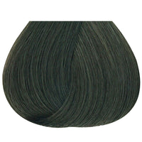 Studio Stylist Express 10 Minutes Permanent Color 6N