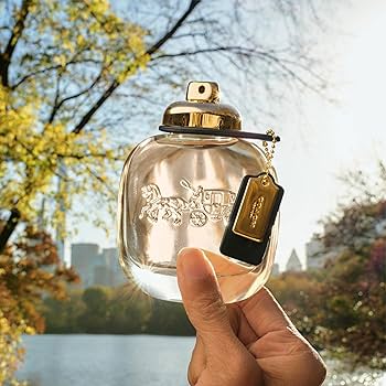 Eau de parfum en vaporisateur New York