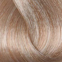 Absolute Permanent Hair Color Cream-10.17