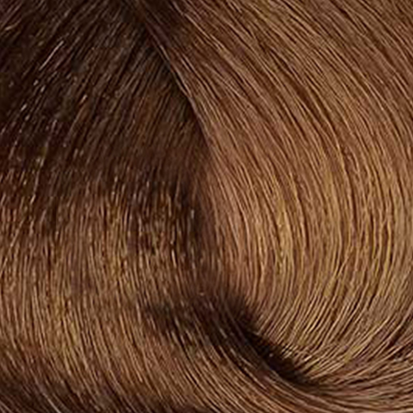 Absolute Permanent Hair Color Cream-8.00n