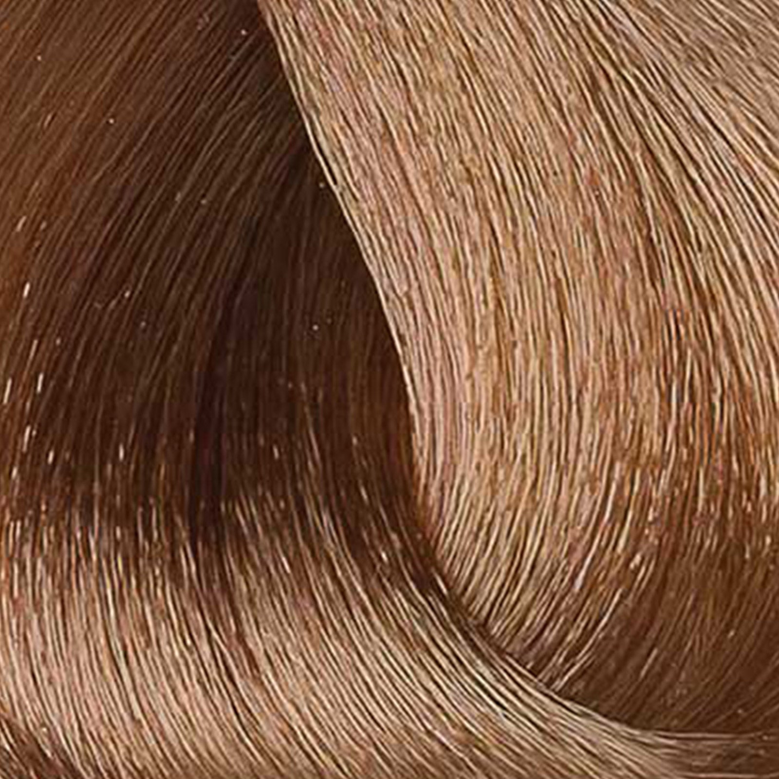 Absolute Permanent Hair Color Cream-8.03