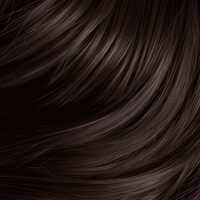 Classic Collection Permanent Hair Color 4.56 BR