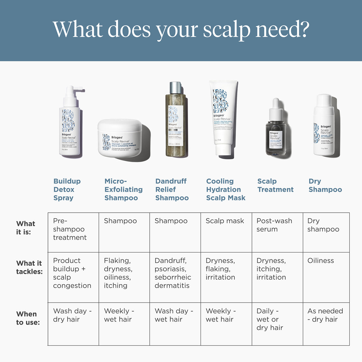 Shampoing Sec au Charbon + Biotine Scalp Revival
