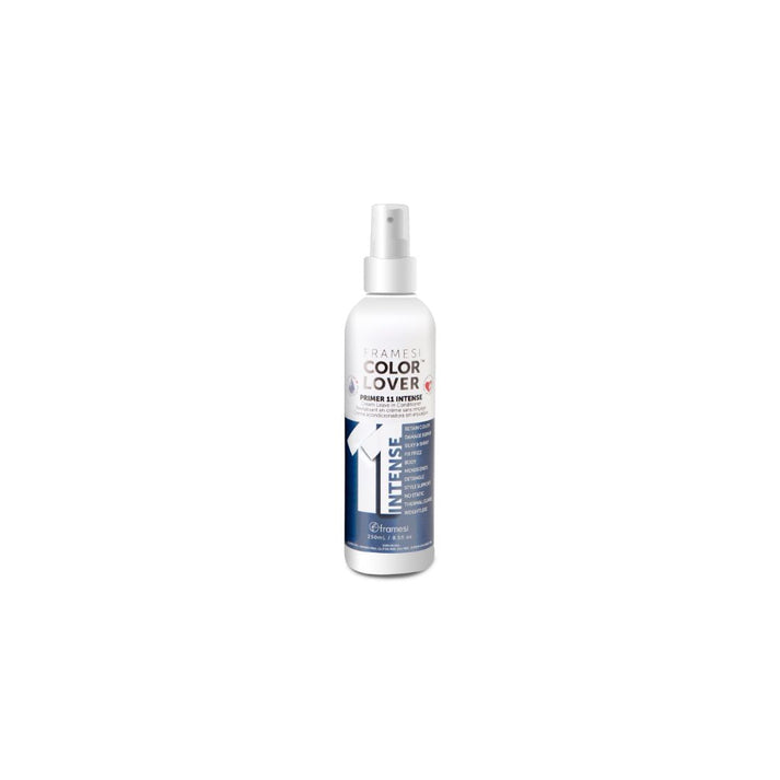 Color lover Primer 11 Intense