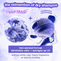 Air Wash Dry Shampoo
