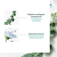 Astera Rituel Apaisant Concentré Fraîcheur & Pureté aux Huiles Essentielles