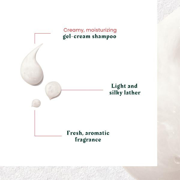 Shampoing Équilibrant Anti-Pelliculaire Neopur Microbiome Expert Pour Cuir Chevelu Sec & Squameux
