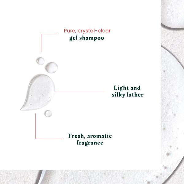 Neopur Microbiome Expert Shampoing Rééquilibrant Cuir Chevelu Gras et à Pellicules