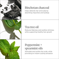 Traitement du cuir chevelu au charbon de bois et à l'arbre à thé Scalp Revival