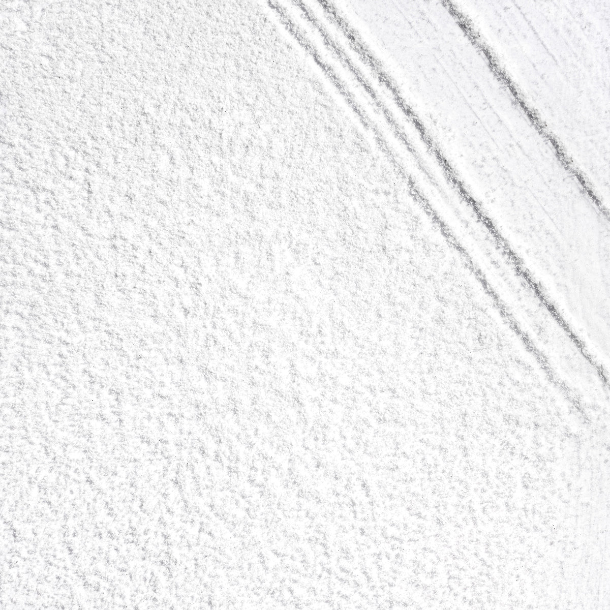Shampoing Sec au Charbon + Biotine Scalp Revival