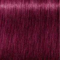 Igora Vibrance Tone on Tone Coloration 0.89 Red Violet Concentrate