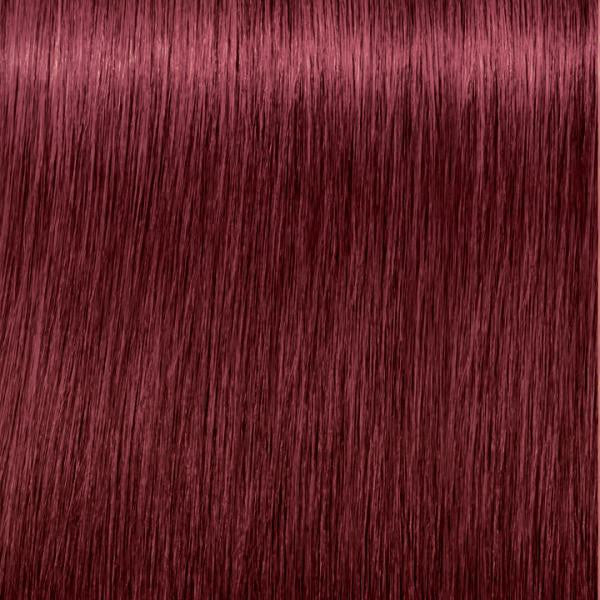 Igora 5-88 Coloration Permanente Sans Ammoniaque