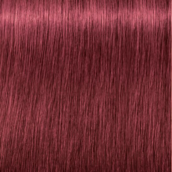 Coloration Cheveux Permanente Sans Ammoniaque Igora 6-88