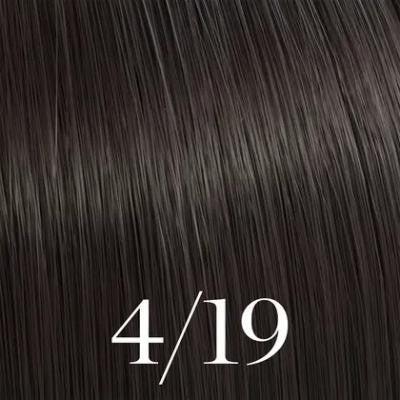 Color touch 4/19 Hair color