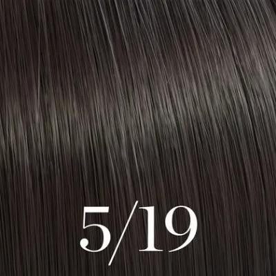 Color touch 5/19 Hair color