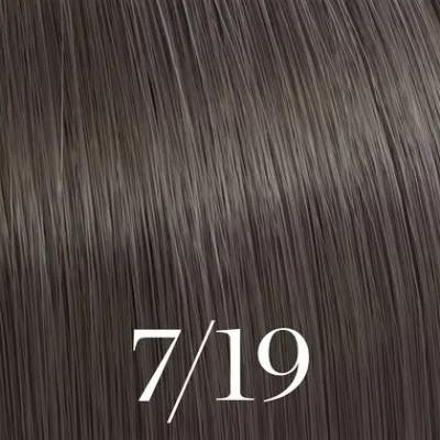 Coloration capillaire Color Touch 7/19
