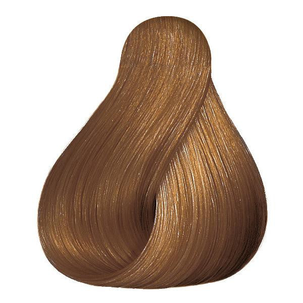 Color touch 8/73 Hair Color